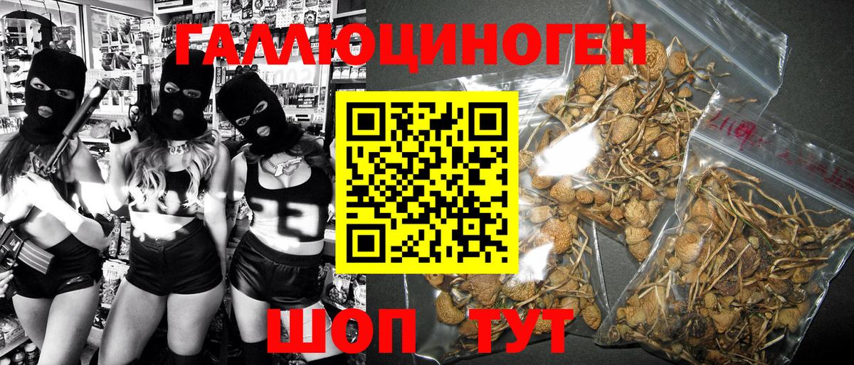 Псилоцибиновые грибы мухоморы Невинномысск
