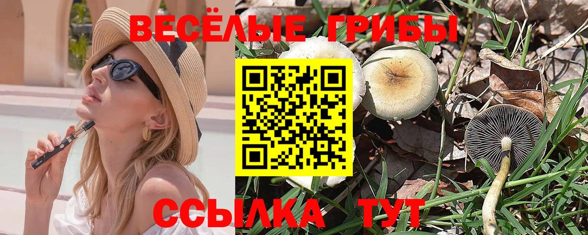 Псилоцибиновые грибы Psilocybine cubensis  Вход с VPN  Псилоцибиновые грибы GOLDEN TEACHER  Невинномысск 
